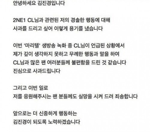  김진경이 걸그룹 2NE1 멤버 씨엘(CL) 팬들에게 사과했다.  (News1 스포츠 / 김진경 인스타그램 캡처)